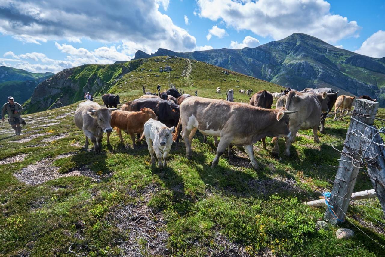 La Posada De Cucayo Dobres Eksteriør billede