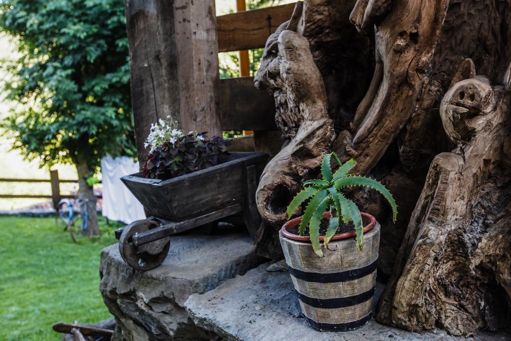 La Posada De Cucayo Dobres Eksteriør billede